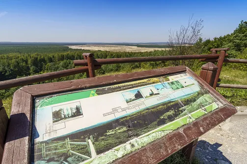 Pustynia Błędowska - największa pustynia w Polsce