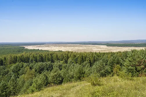 Pustynia Błędowska - największa pustynia w Polsce
