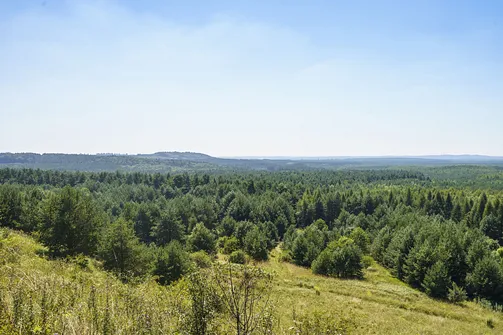 Pustynia Błędowska - największa pustynia w Polsce