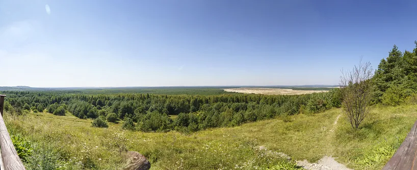 Pustynia Błędowska - największa pustynia w Polsce