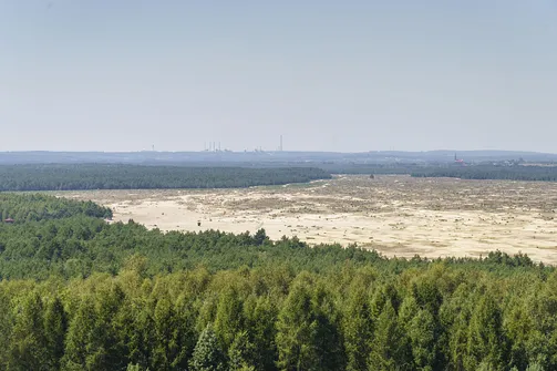 Pustynia Błędowska - największa pustynia w Polsce