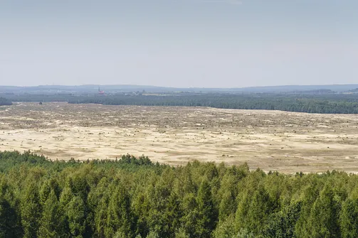 Pustynia Błędowska - największa pustynia w Polsce