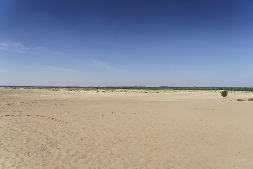 Pustynia Błędowska - największa pustynia w Polsce