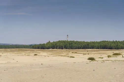 Pustynia Błędowska - największa pustynia w Polsce