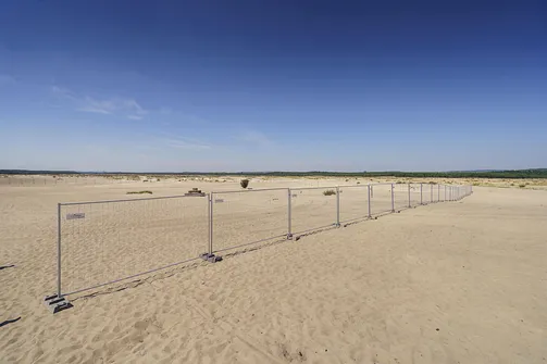 Pustynia Błędowska - największa pustynia w Polsce