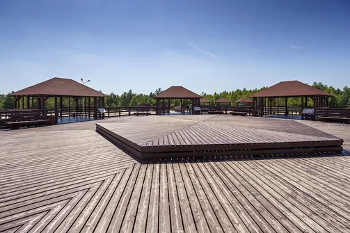 Pustynia Błędowska - największa pustynia w Polsce