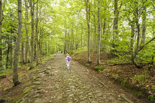 Szyndzielnia i Klimczok z Bielska-Białej