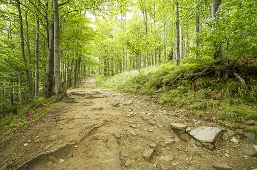 Szyndzielnia i Klimczok z Bielska-Białej