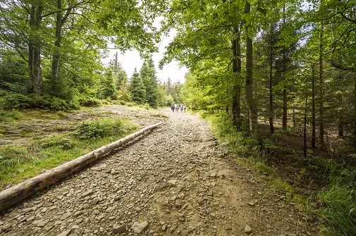 Szyndzielnia i Klimczok z Bielska-Białej