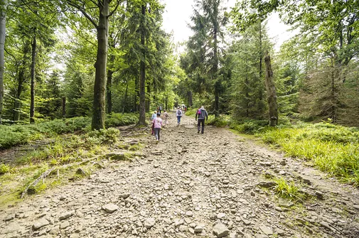 Szyndzielnia i Klimczok z Bielska-Białej