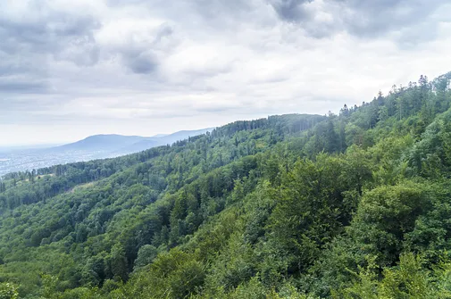 Szyndzielnia i Klimczok z Bielska-Białej