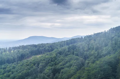 Szyndzielnia i Klimczok z Bielska-Białej