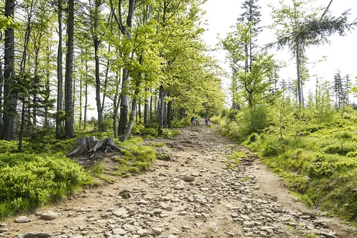 Malinowska Skała - wejście z Przełęczy Salmopolskiej