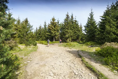 Malinów (1117 m n.p.m.)