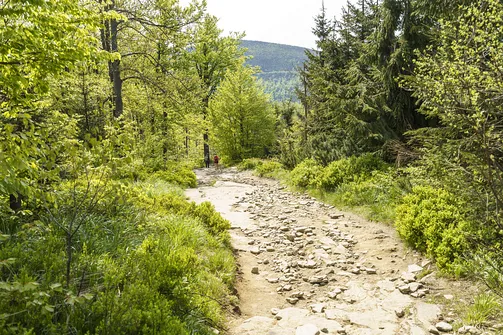 Malinowska Skała - wejście z Przełęczy Salmopolskiej