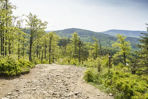 Odejście ze szlaku do Jaskini Malinowskiej