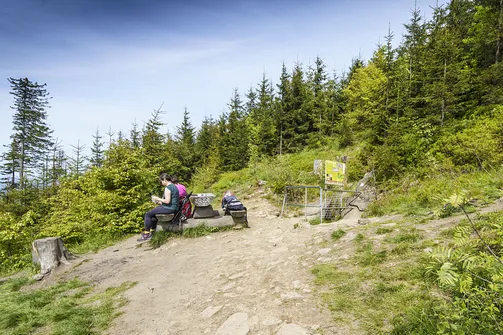 Malinowska Skała - wejście z Przełęczy Salmopolskiej