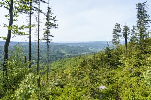 Malinowska Skała - wejście z Przełęczy Salmopolskiej