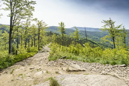 Malinowska Skała - wejście z Przełęczy Salmopolskiej