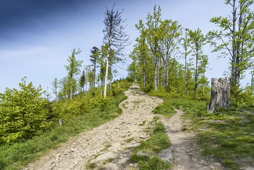 Malinowska Skała - wejście z Przełęczy Salmopolskiej