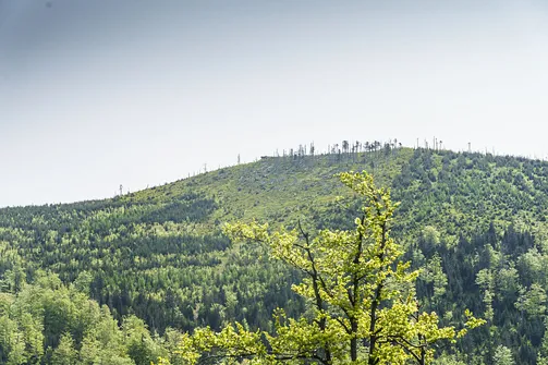 Widok na Malinowską Skałę