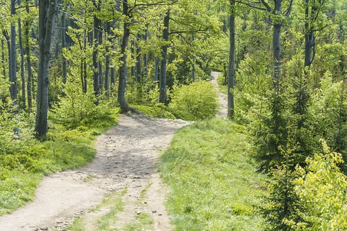 Malinowska Skała - wejście z Przełęczy Salmopolskiej