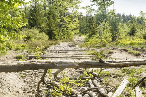 Malinowska Skała - wejście z Przełęczy Salmopolskiej