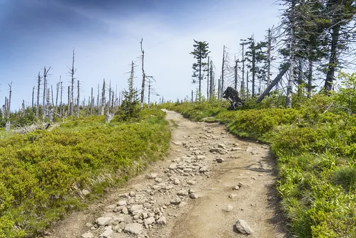 Malinowska Skała - wejście z Przełęczy Salmopolskiej