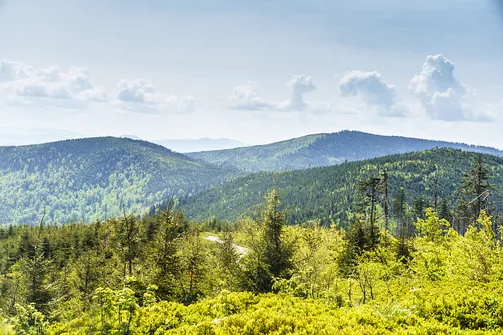 Malinowska Skała - wejście z Przełęczy Salmopolskiej