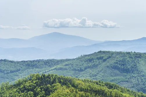 W oddali szczyt Babiej Góry