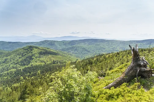 Malinowska Skała - wejście z Przełęczy Salmopolskiej