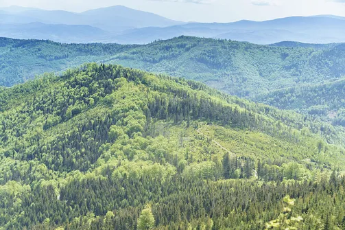 Malinowska Skała - wejście z Przełęczy Salmopolskiej