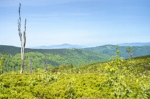 Malinowska Skała - wejście z Przełęczy Salmopolskiej