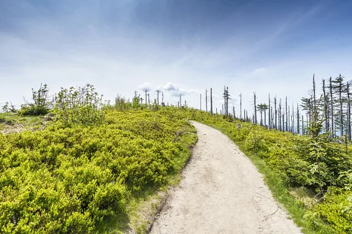 Malinowska Skała - wejście z Przełęczy Salmopolskiej
