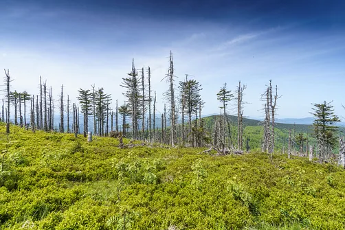Malinowska Skała - wejście z Przełęczy Salmopolskiej