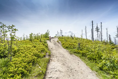 Malinowska Skała - wejście z Przełęczy Salmopolskiej