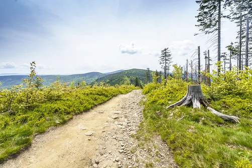 Malinowska Skała - wejście z Przełęczy Salmopolskiej