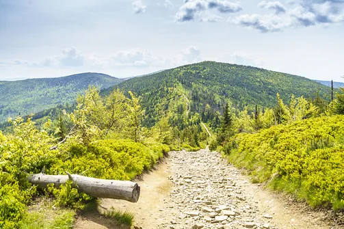 Malinowska Skała - wejście z Przełęczy Salmopolskiej
