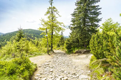 Malinowska Skała - wejście z Przełęczy Salmopolskiej