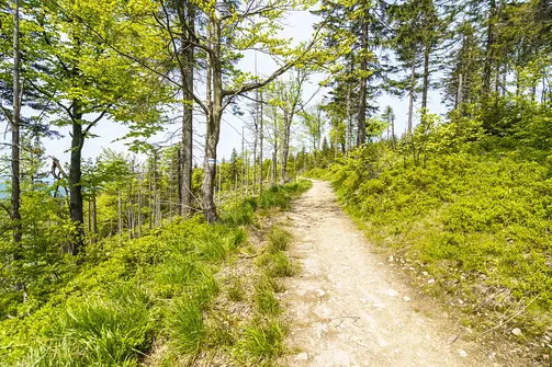 Malinowska Skała - wejście z Przełęczy Salmopolskiej