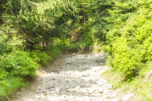 Malinowska Skała - wejście z Przełęczy Salmopolskiej