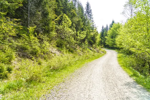 Malinowska Skała - wejście z Przełęczy Salmopolskiej