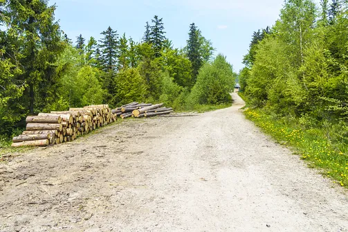 Malinowska Skała - wejście z Przełęczy Salmopolskiej