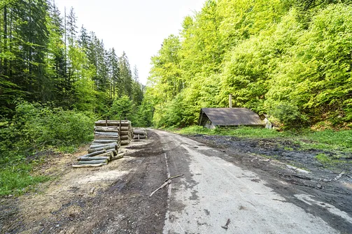 Barania Góra - wejście na szczyt z Wisły Czarne