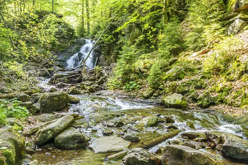 Barania Góra - wejście na szczyt z Wisły Czarne