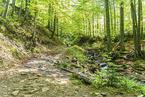 Barania Góra - wejście na szczyt z Wisły Czarne