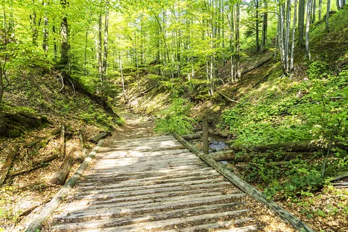 Barania Góra - wejście na szczyt z Wisły Czarne