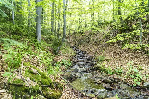 Barania Góra - wejście na szczyt z Wisły Czarne