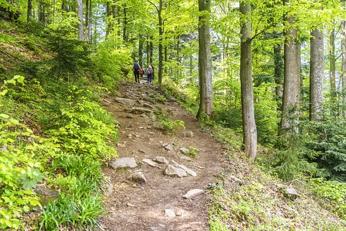 Barania Góra - wejście na szczyt z Wisły Czarne
