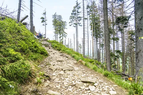 Barania Góra - wejście na szczyt z Wisły Czarne